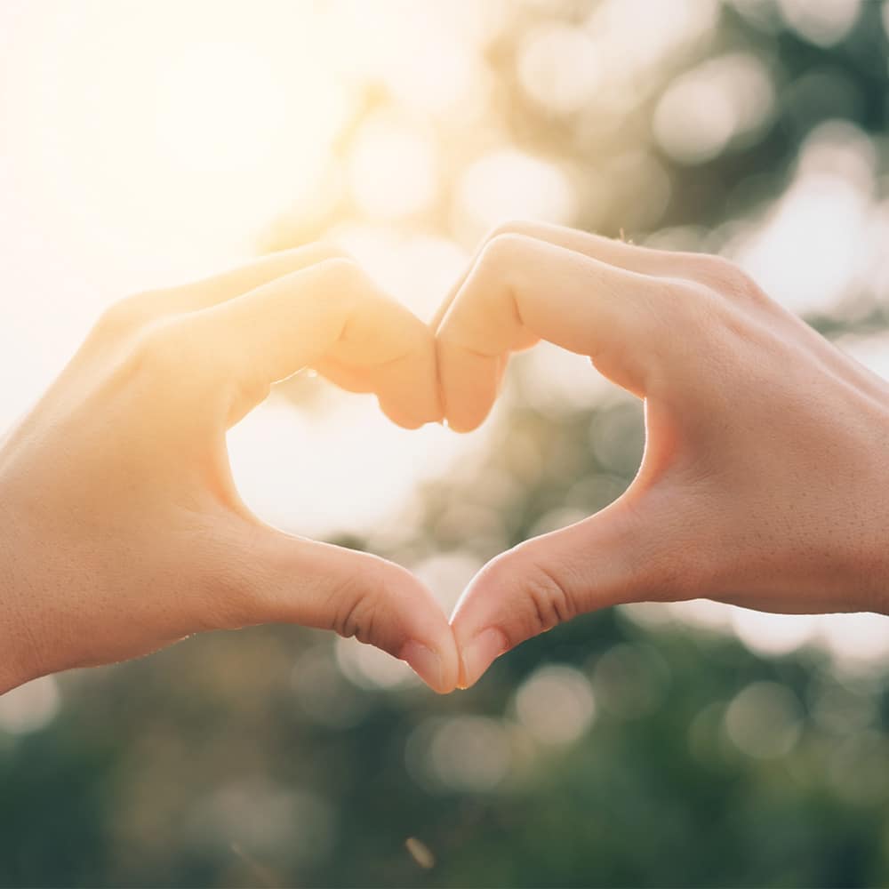 Two hands in the shape of a heart