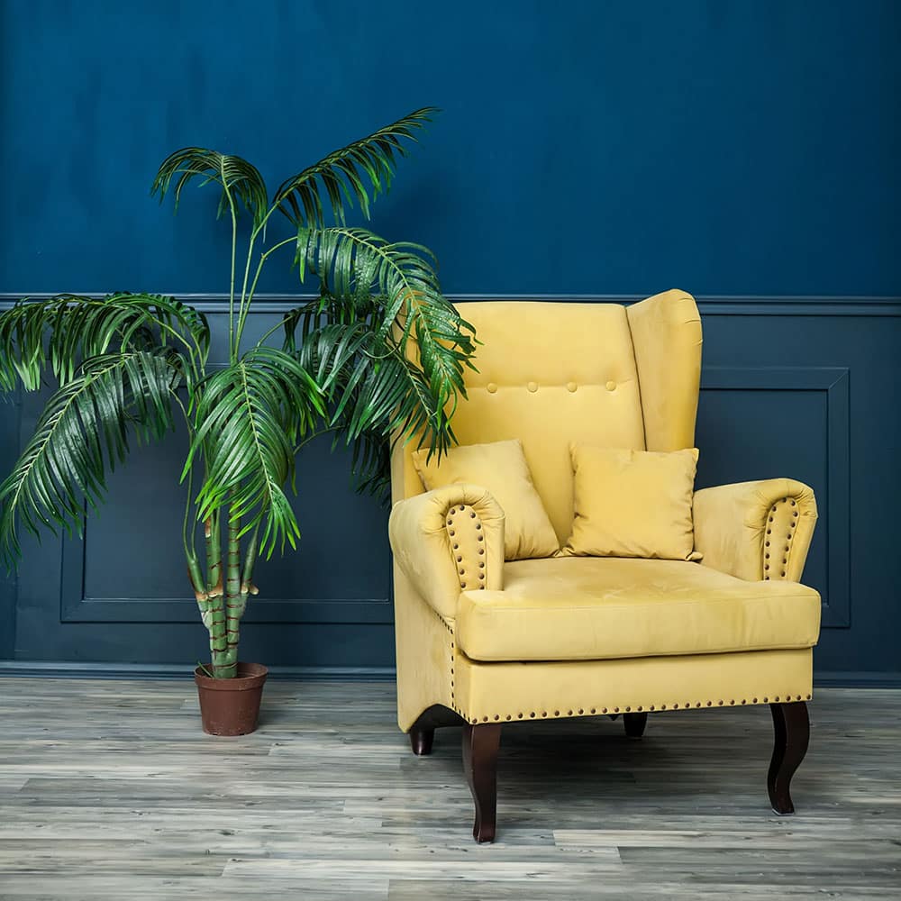 Yellow chair next to palm plant